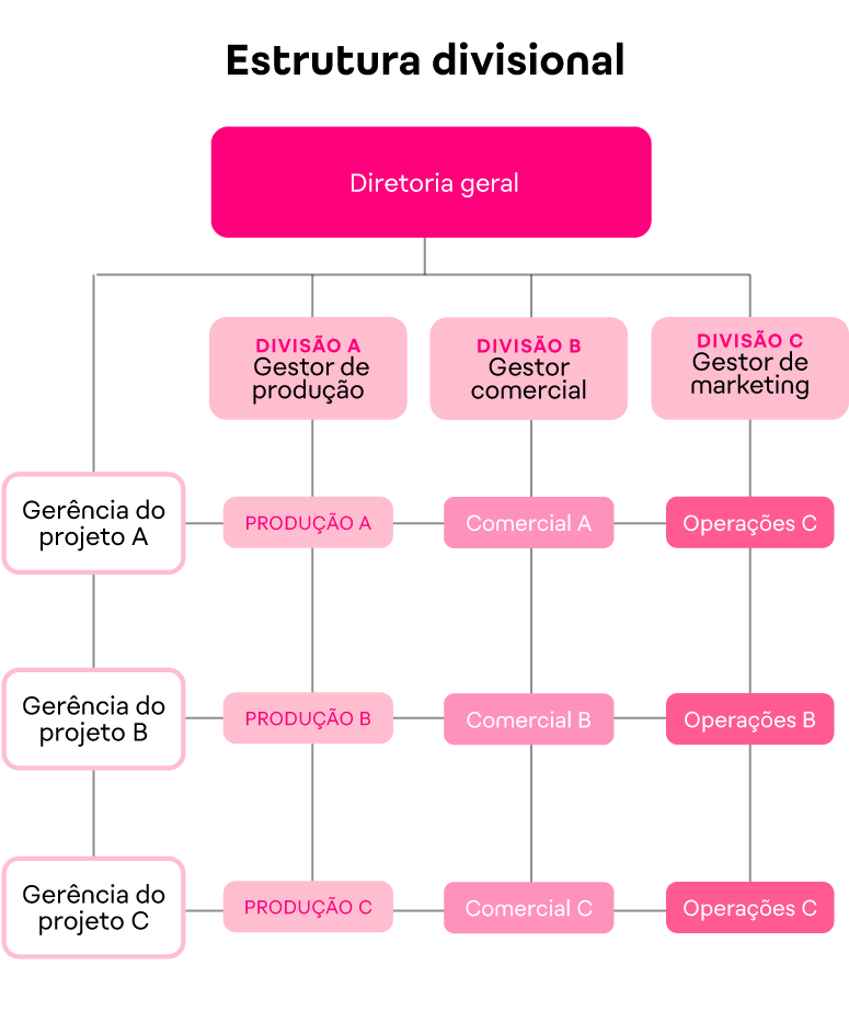 Estrutura organizacional de uma empresa: tipos e como montar